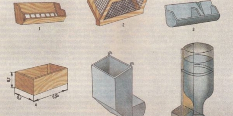 Kako stvoriti idealne uslove za držanje kalifornijskih zečeva